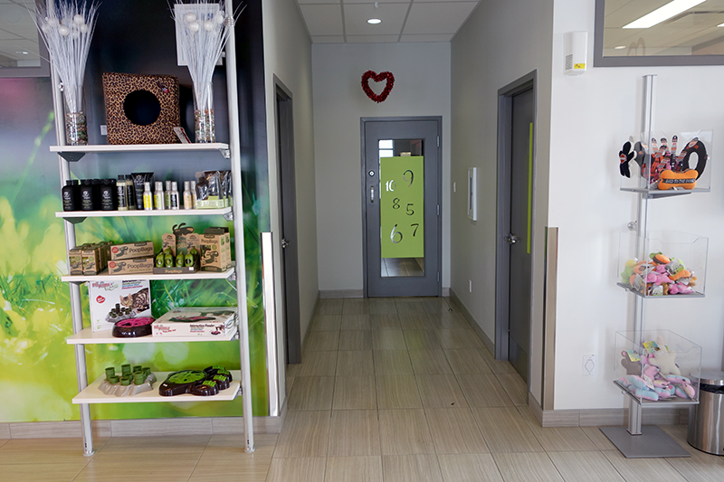 Grande-Allée Veterinary Clinic Hallway