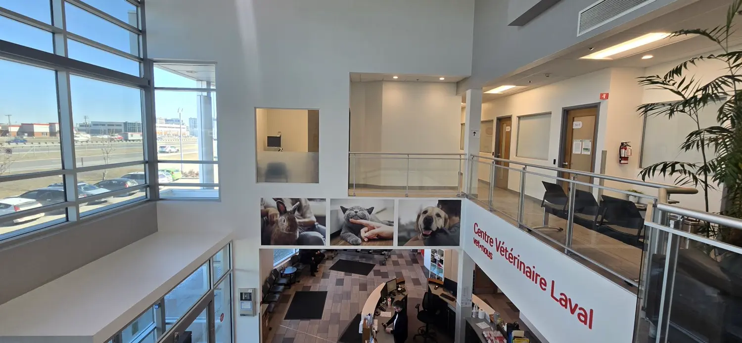 Entré de la clinique vétérinaire